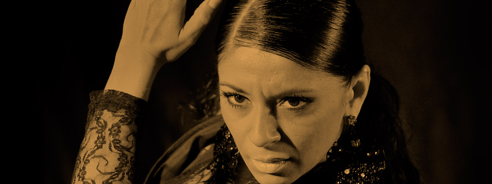 Flamenco Herencia Gitana